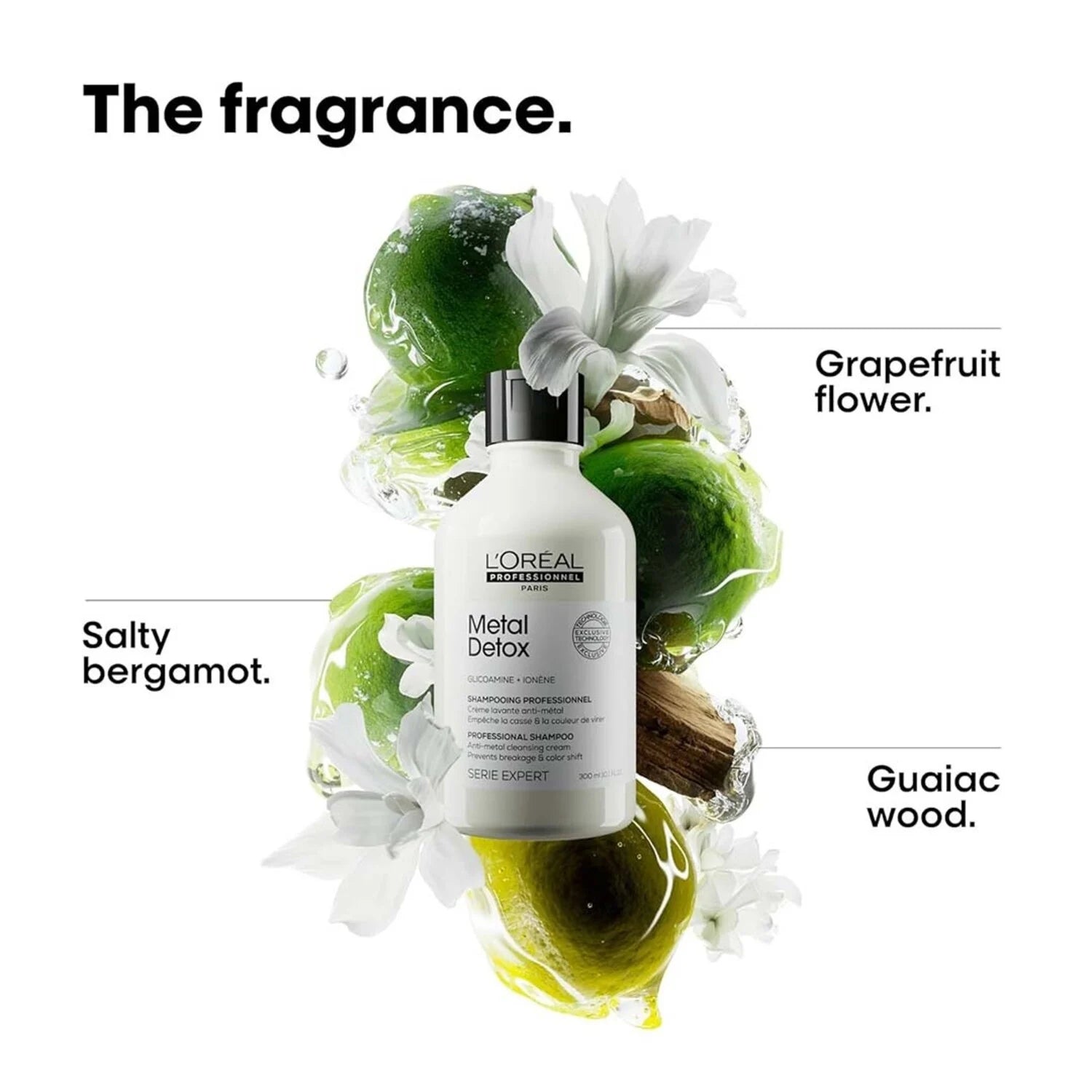 L’Oréal Professionnel – Metal Detox Shampoing Anti-Métal